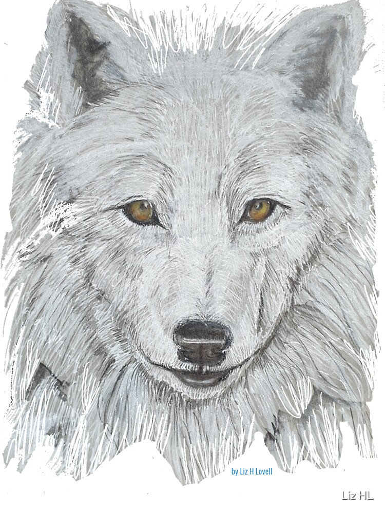 Camiseta para niños «Dibujo de retrato de lobo ártico» de LizLovell |  Redbubble