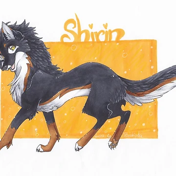 Artwork thumbnail, Shirin by Rabbiata