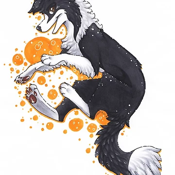 Artwork thumbnail, Border collie by Rabbiata
