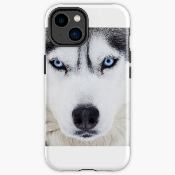 Siberian Husky iPhone Tough Case