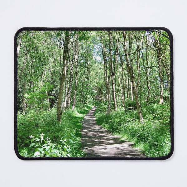 Item preview, Silver Birches in Birchwood. designed and sold by ronsaunders47.