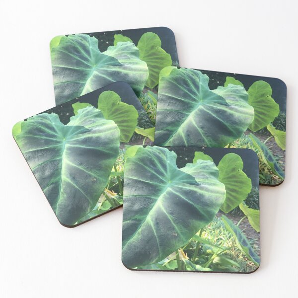 Item preview, Carolina Tree leaf designed and sold by KyleLemieux.