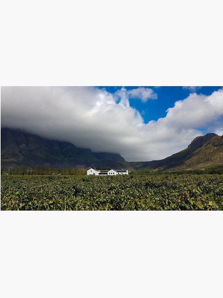 "Winery Franschhoek, Cape Town, South Africa" Poster for Sale by TravelNotes Redbubble