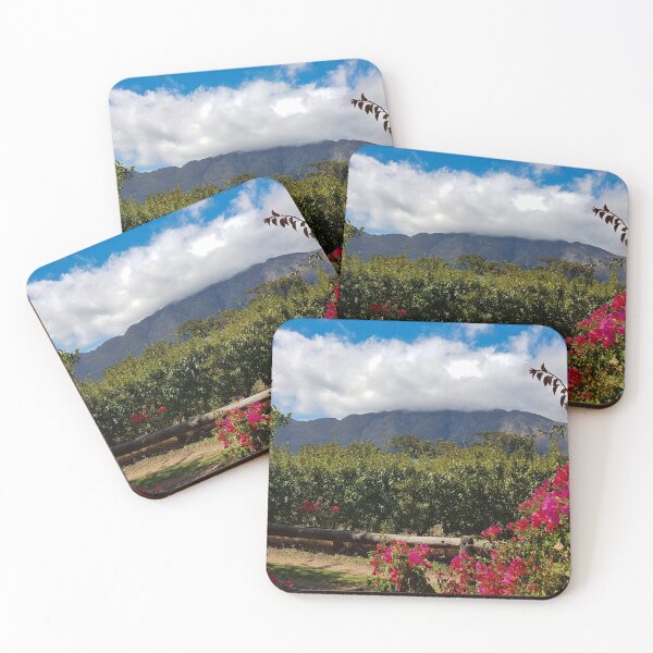 Item preview, View from winery in Franschhoek, Cape Town, South Africa designed and sold by TravelNotes.