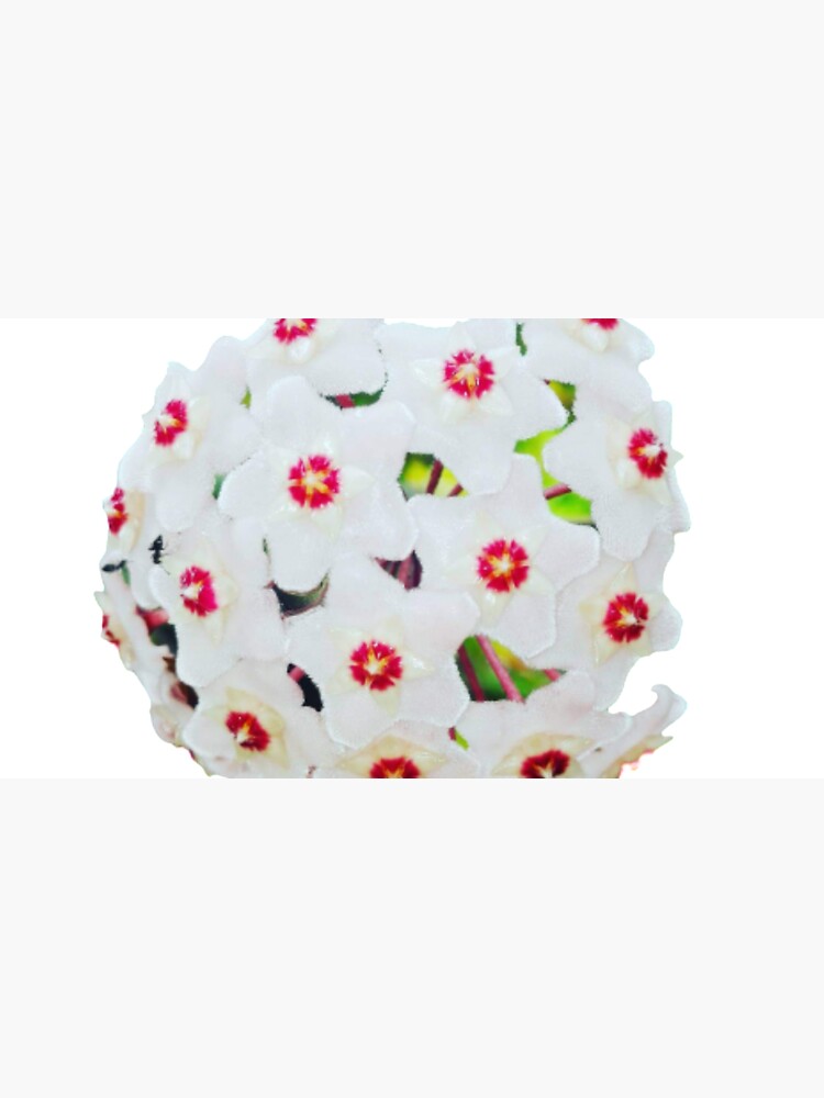 Natural Flower Design by Sunraysanastore