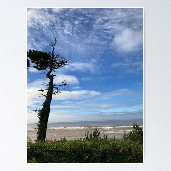 Lone tree Poster