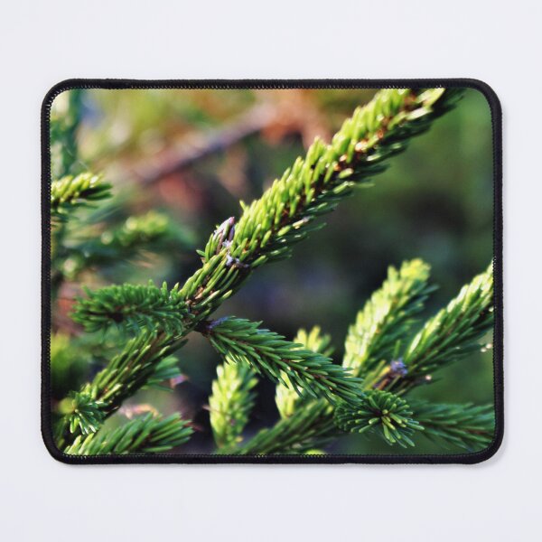 Item preview, Evergreen Dreams designed and sold by RYBHOWE.