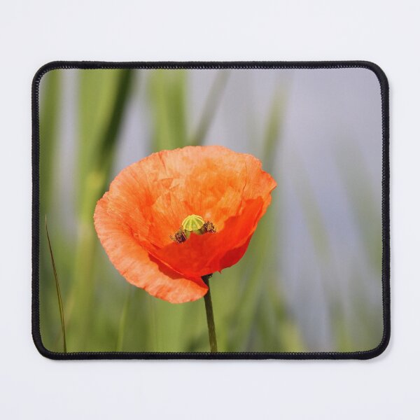 Item preview, Poppy designed and sold by cuprum.