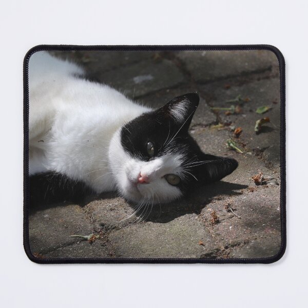 Item preview, Lounging designed and sold by cuprum.