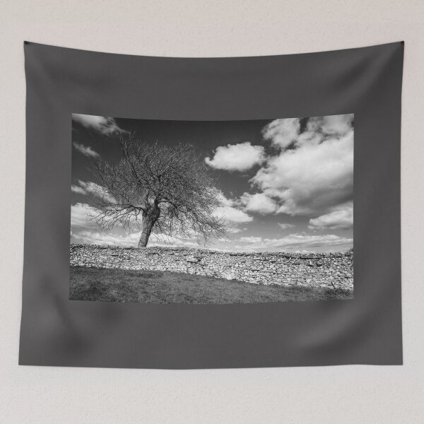 Item preview, One Tree Wonder Black And White designed and sold by Paul Thompson Photography.