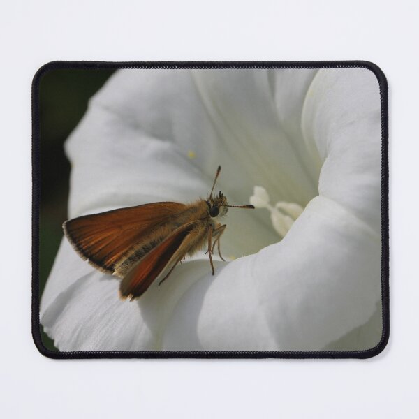 Item preview, Large Skipper on Heavenly Trumpets designed and sold by cuprum.