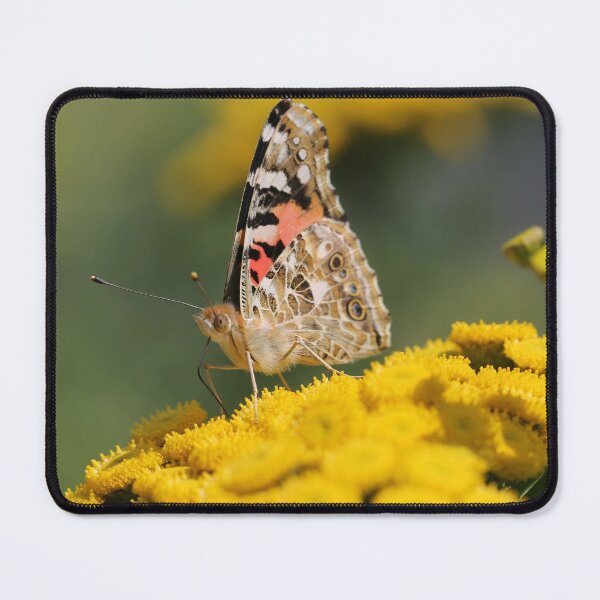 Item preview, Painted lady on Tansy designed and sold by cuprum.