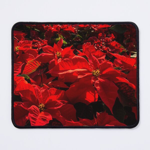 Item preview, Blood Red Poinsettias Riot - Christmas Stars Superabundance designed and sold by Georgia Mizuleva.