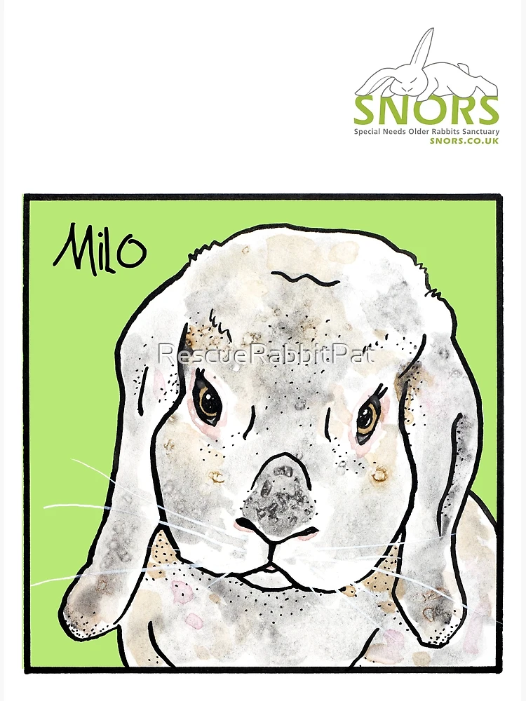 Thumbnail 3 of 3, Poster, Milo designed and sold by RescueRabbitPat.
