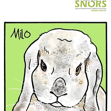 Artwork thumbnail, Milo by RescueRabbitPat