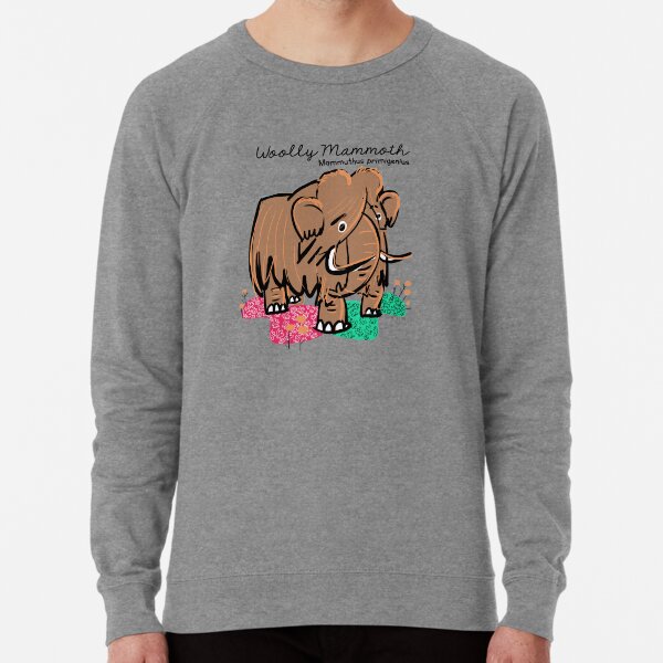 Air Waves Wooly Mammoth with Hat-Toddler Raglan Air Waves Wooly Mammoth with Hat-Toddler Raglan