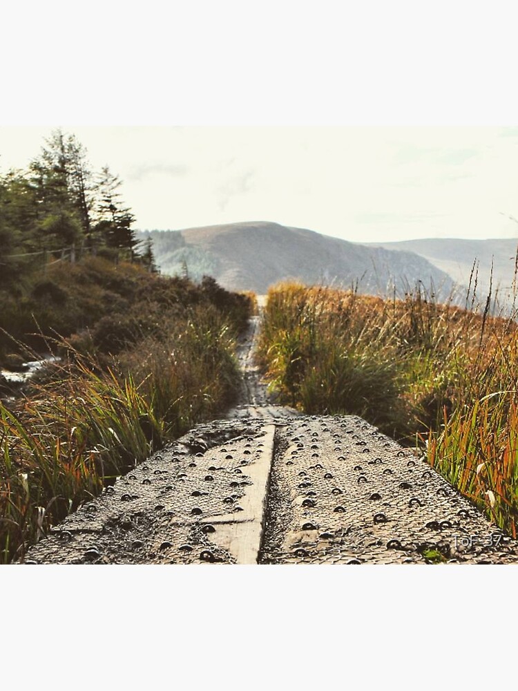 The Way by ToF-37
