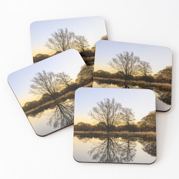 Item preview, Richmond Park Morning designed and sold by Graham Prentice.
