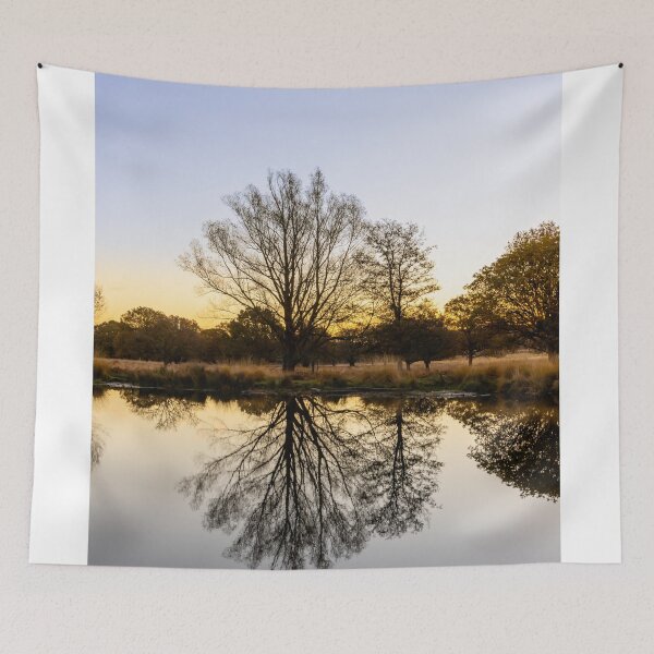 Item preview, Richmond Park Morning designed and sold by Graham Prentice.