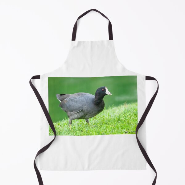 Item preview, American Coot Grazing in the Grass designed and sold by Jeff Goulden Photography.
