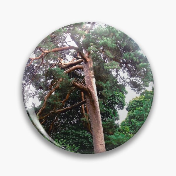 Item preview, Trees on the Colebrooke Estate, Derry, Northern Island designed and sold by Shulie1.