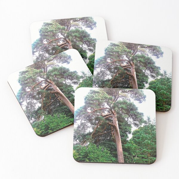 Item preview, Trees on the Colebrooke Estate, Derry, Northern Island designed and sold by Shulie1.