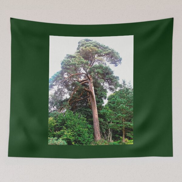 Item preview, Trees on the Colebrooke Estate, Derry, Northern Island designed and sold by Shulie1.