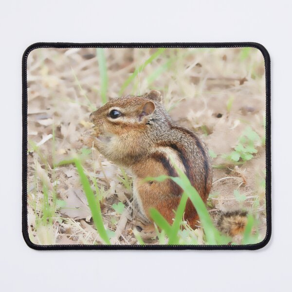Item preview, Chippy designed and sold by Anita Oakley.