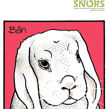 Artwork thumbnail, Ben by RescueRabbitPat