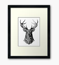 Ornate Buck Framed Print