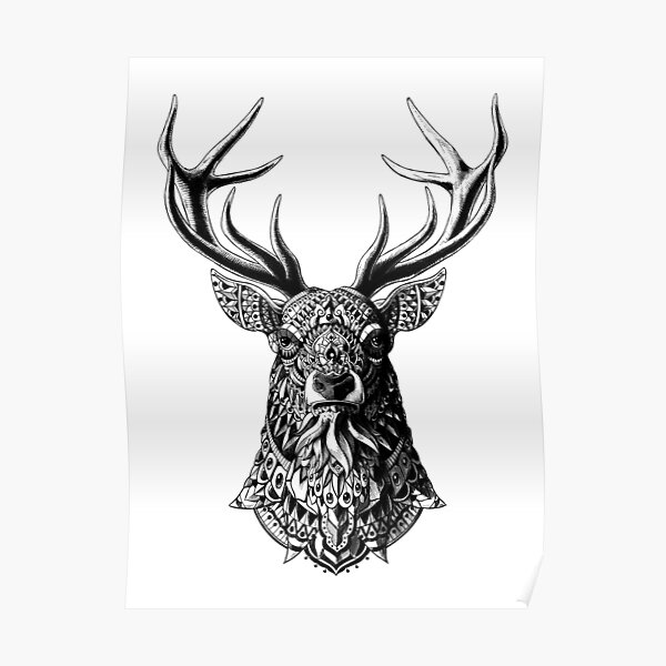 Ornate Buck Poster