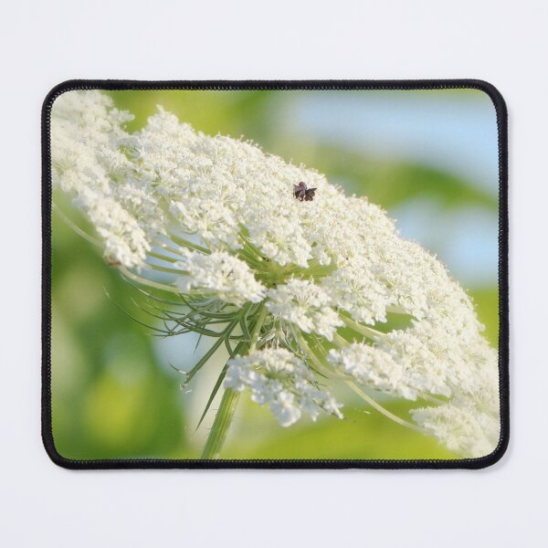 Item preview, Queen Anne's Lace designed and sold by Anita Oakley.