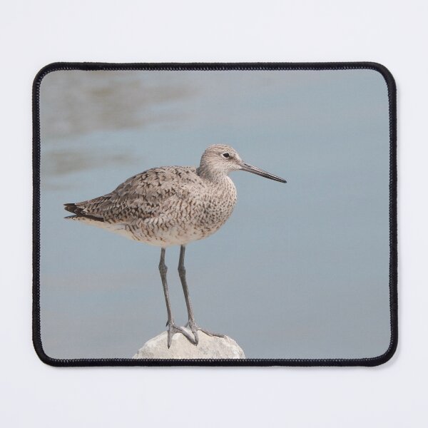 Item preview, The Peaceful Willet designed and sold by Anita Oakley.