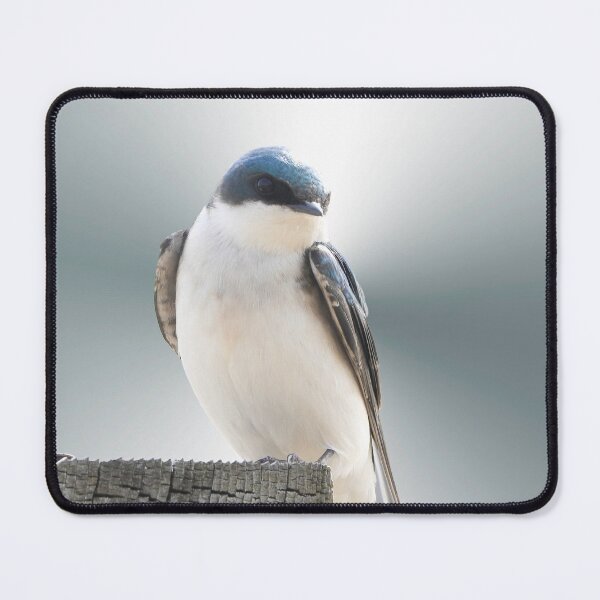 Item preview, Radiant designed and sold by Anita Oakley.
