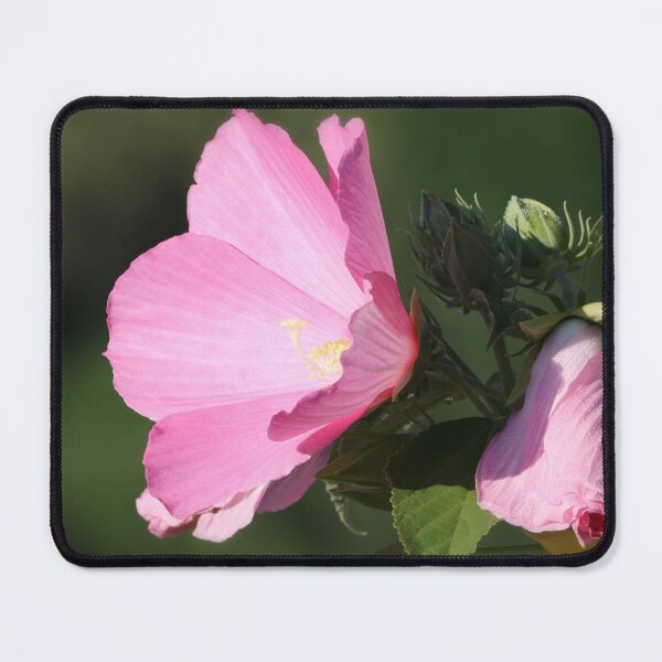 Item preview, Rose of Sharon designed and sold by Anita Oakley.