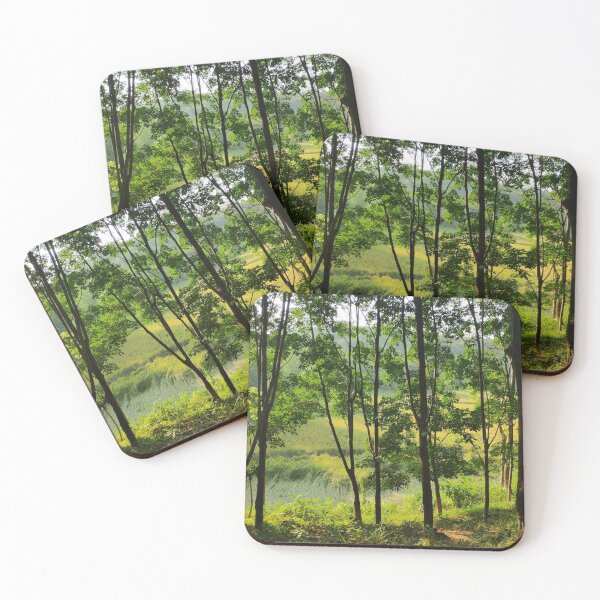 Item preview, Green Nature Forest Shot in Golden Hour designed and sold by Digital Lama Creations.