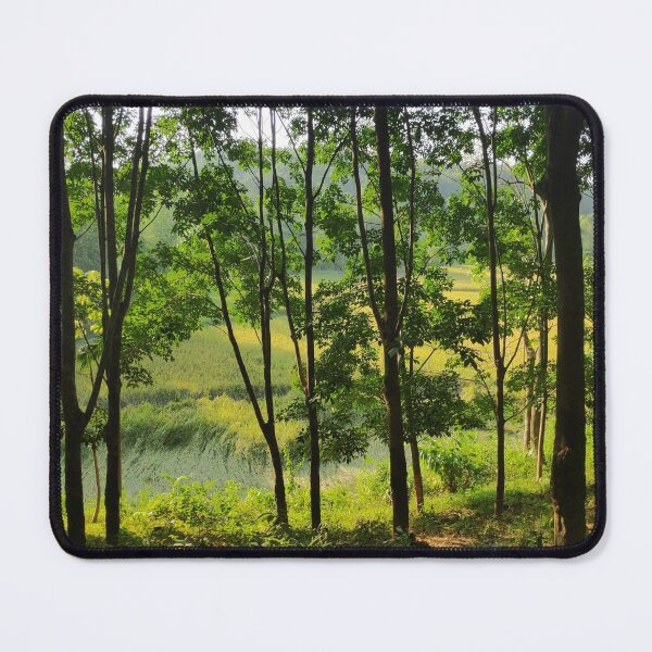 Item preview, Green Nature Forest Shot in Golden Hour designed and sold by Digital Lama Creations.