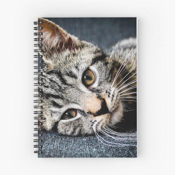 Item preview, Cat designed and sold by JagerWorks.