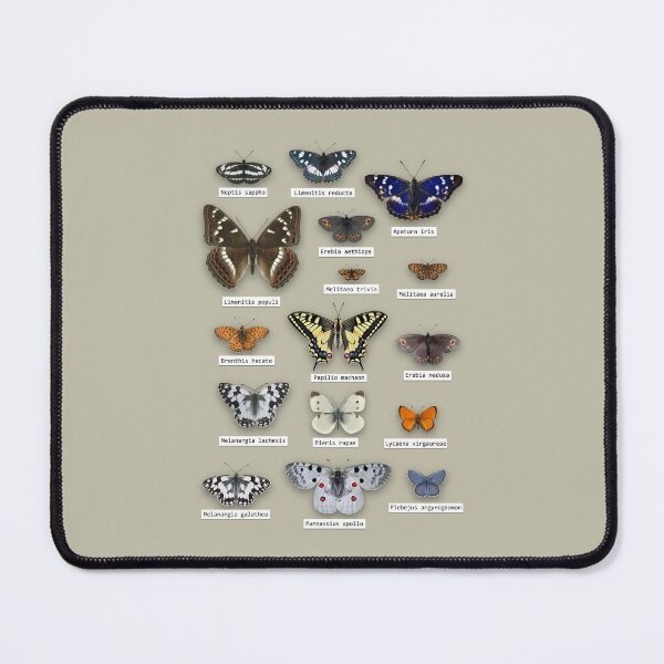 Item preview, Butterfly collection designed and sold by creative-athome.