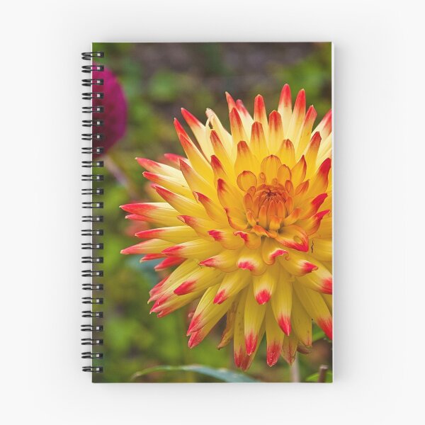 Item preview, Ireland. Killarney. Muckross House. Flowers in the Garden. designed and sold by vadim19.