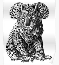 Koala Poster