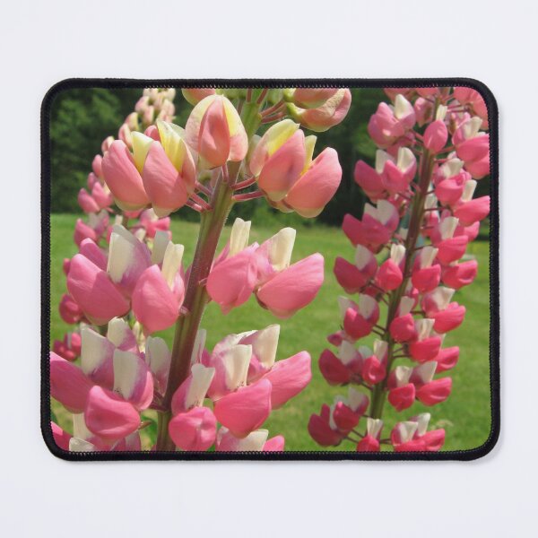 Item preview, Pretty Pink Lupine Flowers designed and sold by SillaHoekstra.