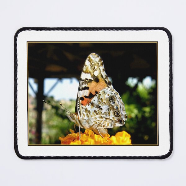 Item preview, The Tortoiseshell Butterfly up close. designed and sold by ronsaunders47.