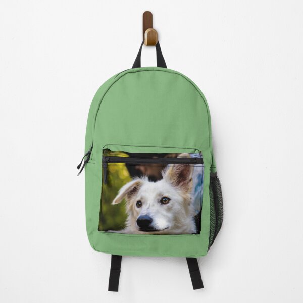 Item preview, Dog Are Human Best Friend designed and sold by Minako Official .