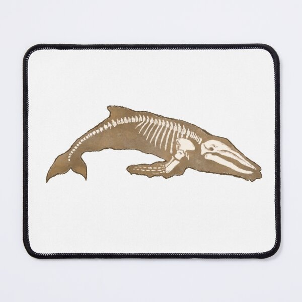 Item preview, Whale Skeleton designed and sold by aliceready8.