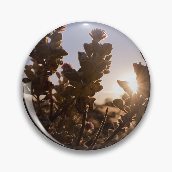 Aperçu de l'œuvre fleurs sauvages et soleil créée et vendue par Notsofia.