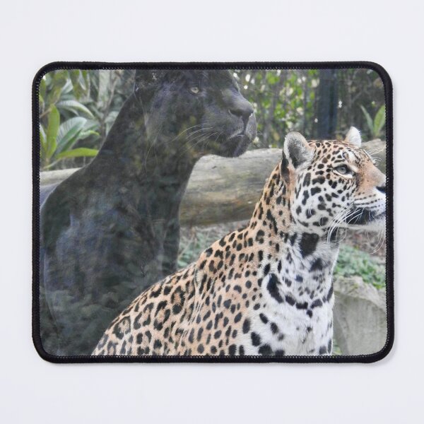 Item preview, Jaguars  designed and sold by Martina Nicolls.
