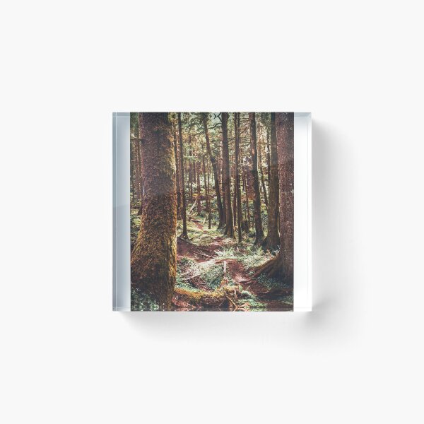 Item preview, John Muir-And Into The Forest I Go To Lose My Mind And Find My Soul | Oregon Coast designed and sold by anthonylonder.