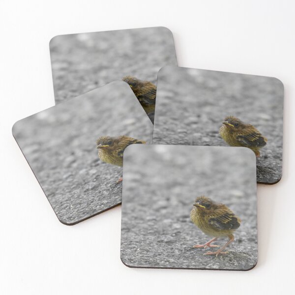 Item preview, Fledgling Ovenbird Photo designed and sold by LauraWolfArtist.