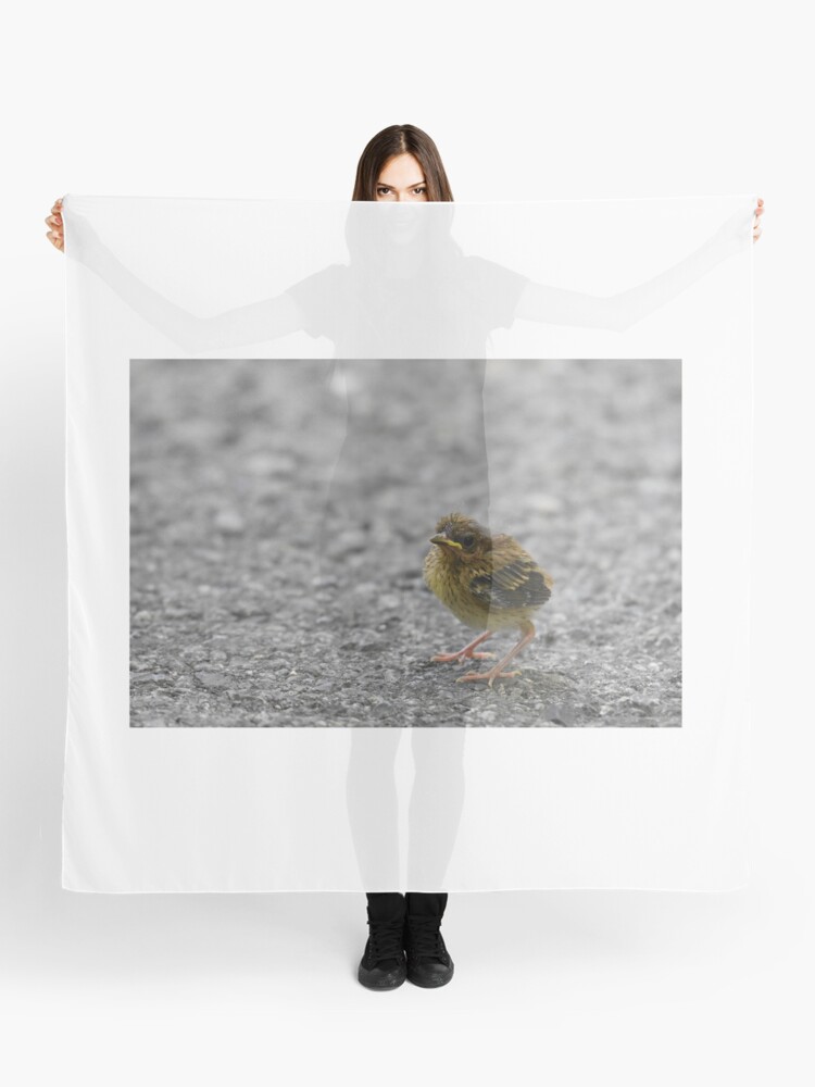 Foulard for Sale avec l'œuvre « Ovenbird naissant Photo » de l'artiste  LauraWolfArtist